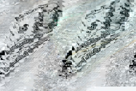 a hundred dollar bill