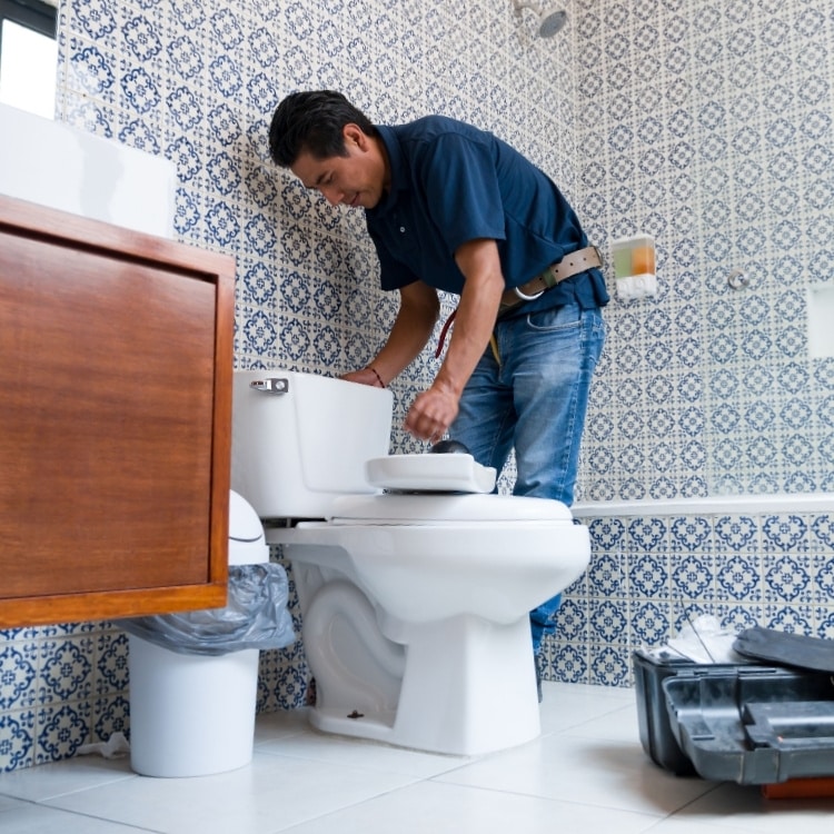toilet-repair