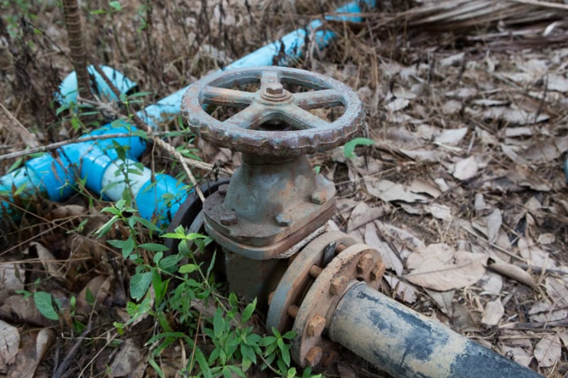 How Tree Roots Can Damage Your Sewer Line and How to Prevent It. The water valve on the pipe.
